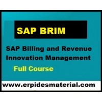 sap brim course